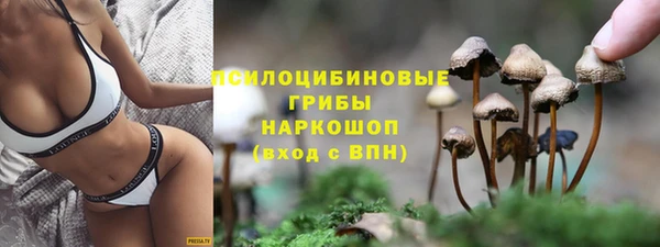 мяу мяу кристалл Алексин