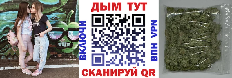 маркетплейс клад купить Ардон Канабис White Widow